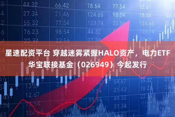 星速配资平台 穿越迷雾紧握HALO资产,电力ETF华宝联接基金(026949)今起发行